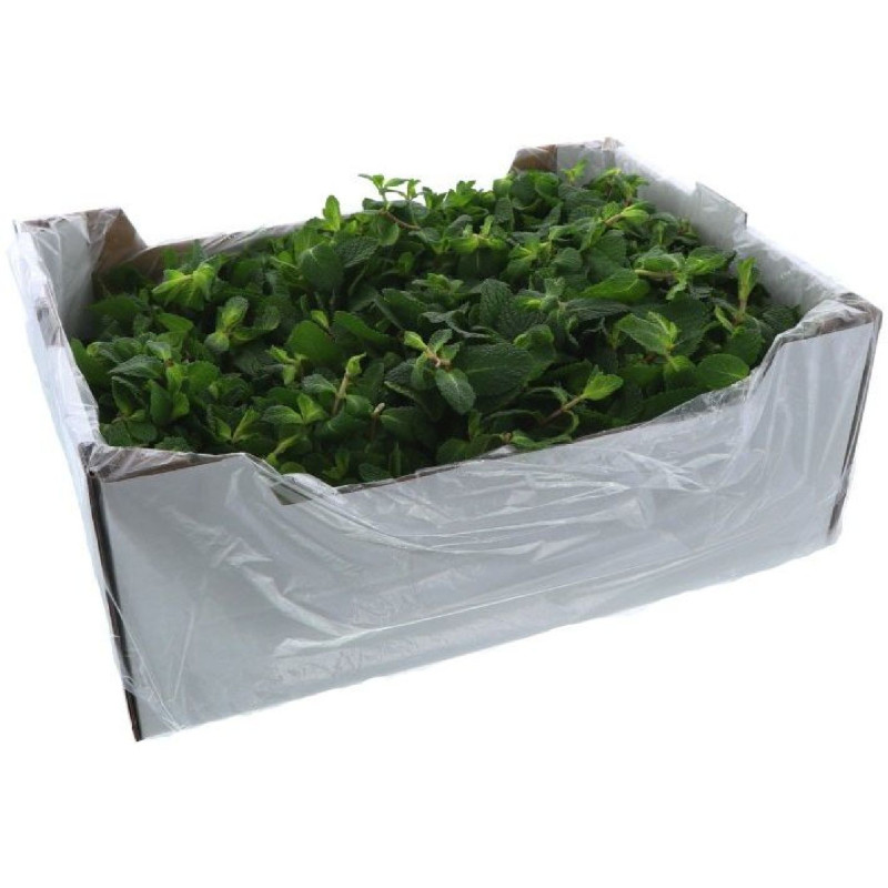 MENTHE VRAC 1KG